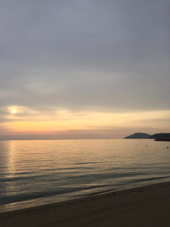 Les Pieds Dans Le Sable Apartment Argeles-sur-Mer Luaran gambar